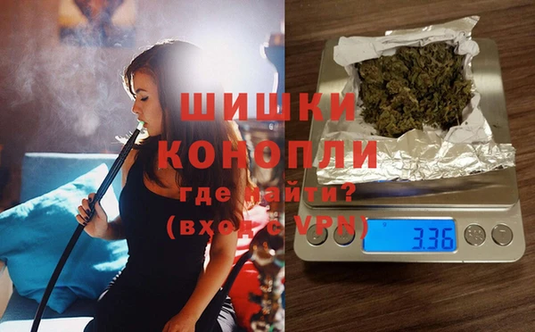 a pvp Гатчина
