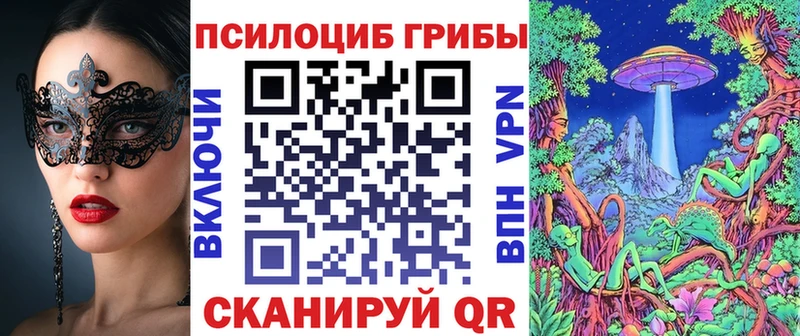 закладка  Ейск  Псилоцибиновые грибы Magic Shrooms 