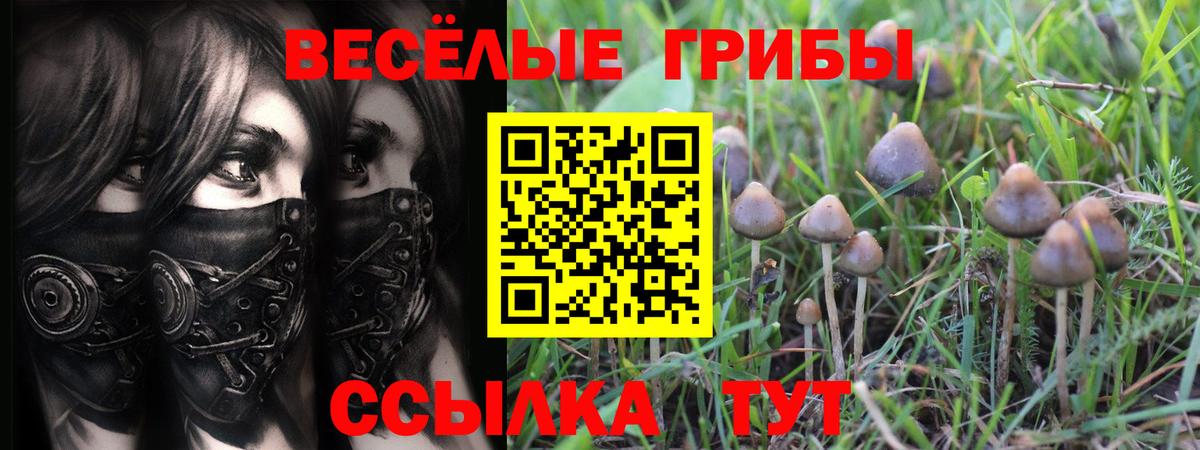 Ейск  Галлюциногенные грибы GOLDEN TEACHER  Галлюциногенные грибы мицелий  Вход с VPN 