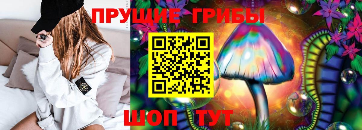 Псилоцибиновые грибы Psilocybine cubensis Ейск