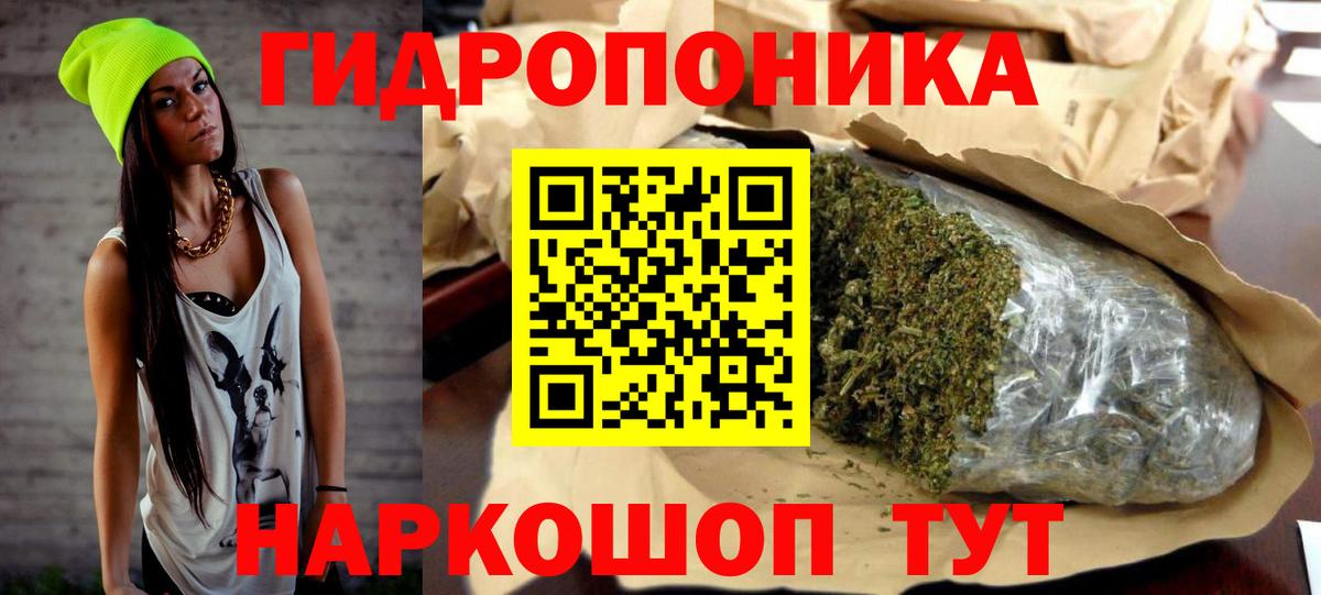 Конопля сатива Ейск